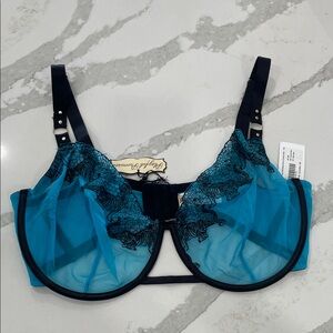 Playful Promises  Sheer Blue Lace Bra with tiger embroidery 36G